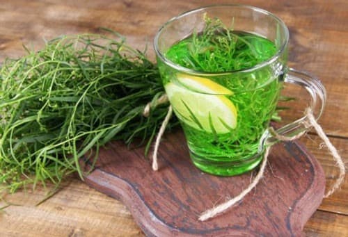 Tarragon leaves