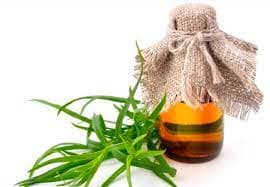 Tarragon oil