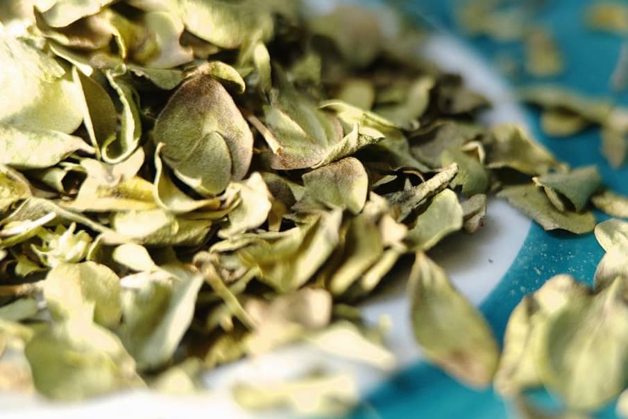 Leaves