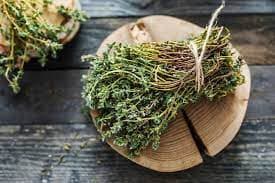 Thyme